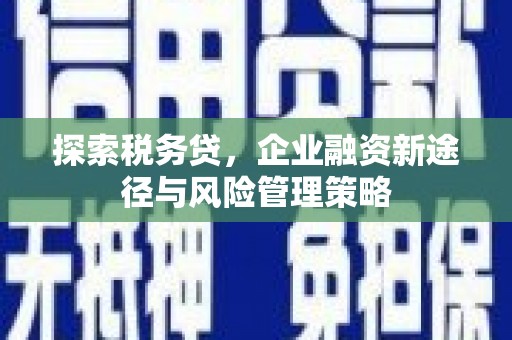 定远探索税务贷，企业融资新途径与风险管理策略