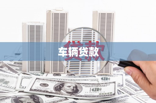 定远车辆贷款