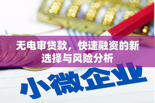 定远无电审贷款，快速融资的新选择与风险分析