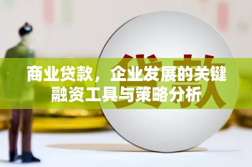 定远商业贷款，企业发展的关键融资工具与策略分析