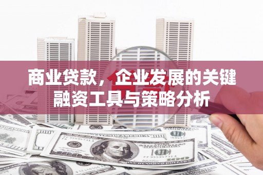 定远商业贷款，企业发展的关键融资工具与策略分析