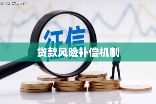 定远贷款风险补偿机制