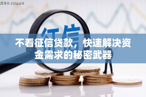 定远不看征信贷款，快速解决资金需求的秘密武器