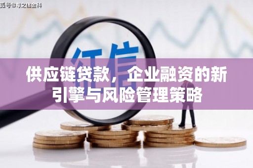 定远供应链贷款，企业融资的新引擎与风险管理策略