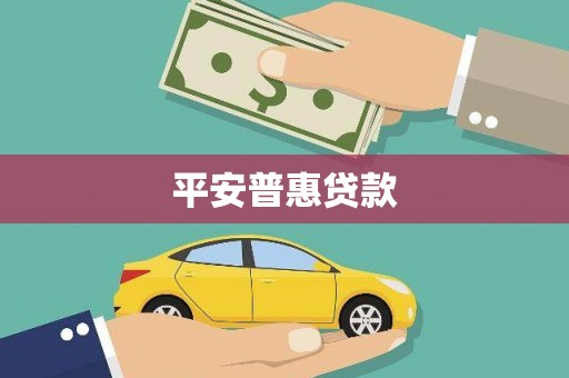 定远平安普惠贷款