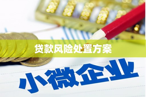 定远贷款风险处置方案