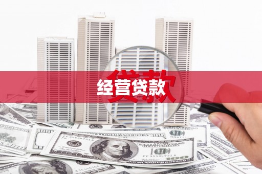 定远经营贷款