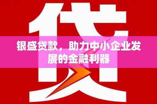 定远银盛贷款，助力中小企业发展的金融利器