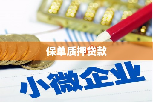 定远保单质押贷款