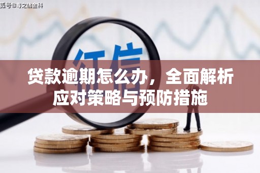 定远贷款逾期怎么办，全面解析应对策略与预防措施