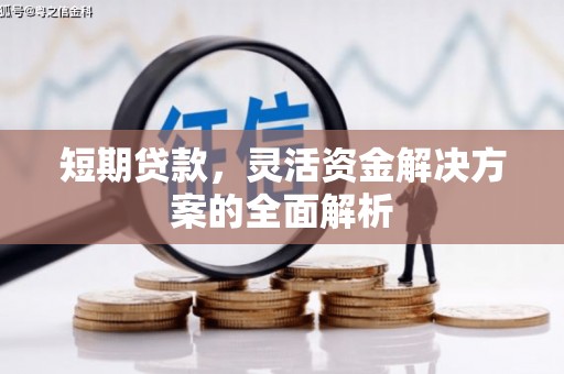 定远短期贷款，灵活资金解决方案的全面解析