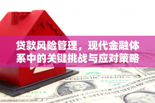 定远贷款风险管理，现代金融体系中的关键挑战与应对策略