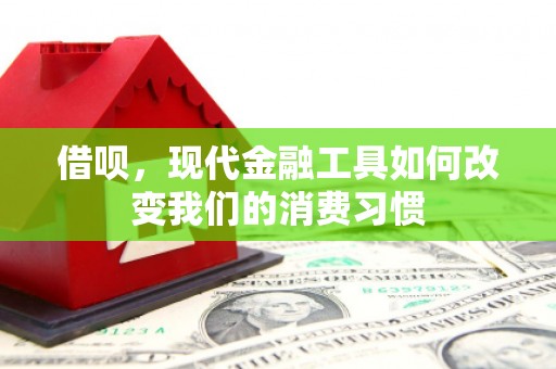 定远借呗，现代金融工具如何改变我们的消费习惯