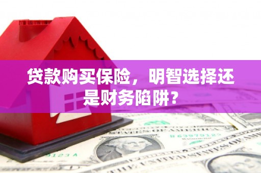 定远贷款购买保险，明智选择还是财务陷阱？