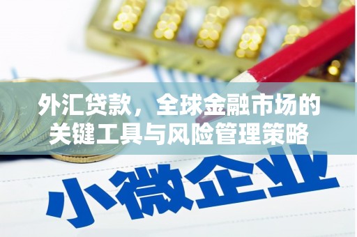 定远外汇贷款，全球金融市场的关键工具与风险管理策略