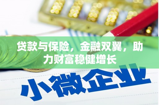 定远贷款与保险，金融双翼，助力财富稳健增长