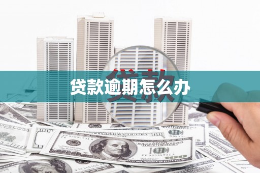 定远贷款逾期怎么办
