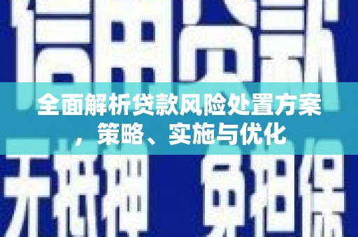 定远全面解析贷款风险处置方案，策略、实施与优化