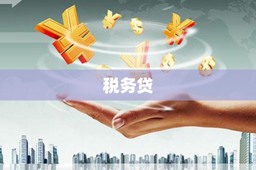 定远税务贷
