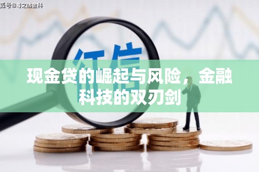 定远现金贷的崛起与风险，金融科技的双刃剑
