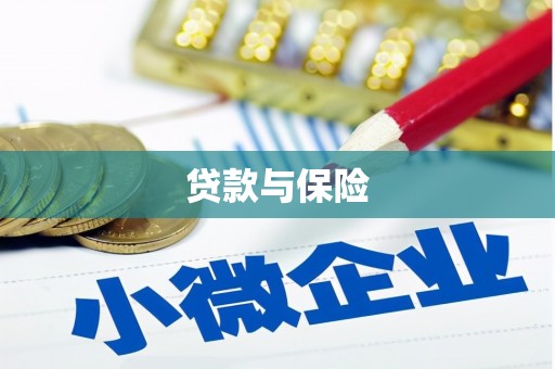 定远贷款与保险