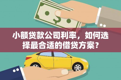 定远小额贷款公司利率，如何选择最合适的借贷方案？