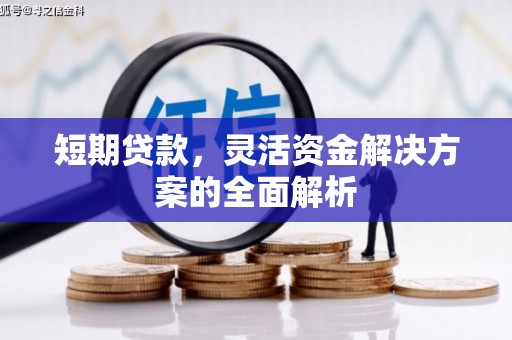 定远短期贷款，灵活资金解决方案的全面解析