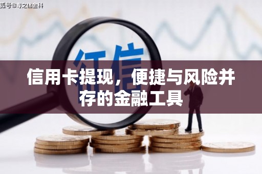 定远信用卡提现，便捷与风险并存的金融工具