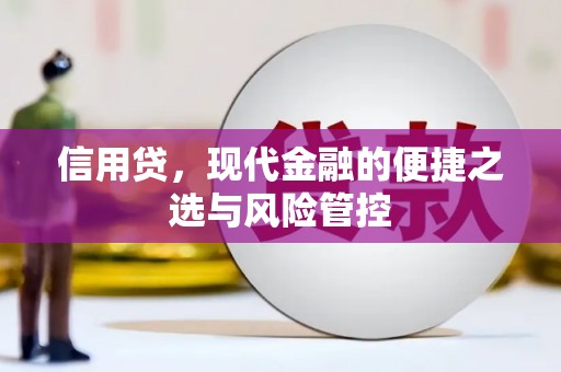 定远信用贷，现代金融的便捷之选与风险管控
