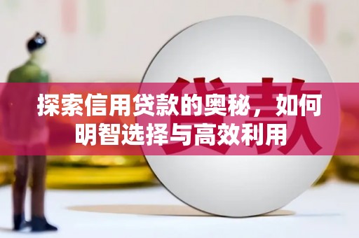 定远探索信用贷款的奥秘，如何明智选择与高效利用