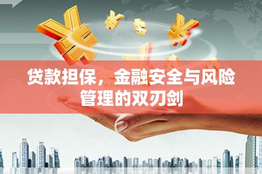 定远贷款担保，金融安全与风险管理的双刃剑