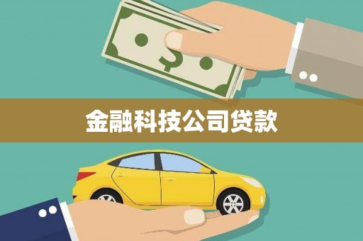 定远金融科技公司贷款