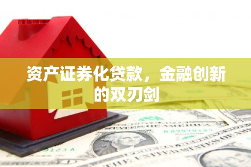定远资产证券化贷款，金融创新的双刃剑