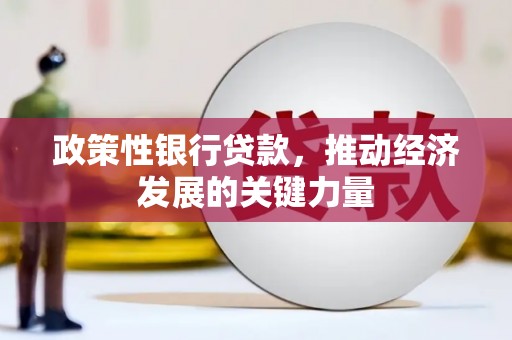 定远政策性银行贷款，推动经济发展的关键力量
