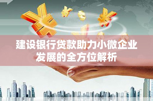 定远建设银行贷款助力小微企业发展的全方位解析