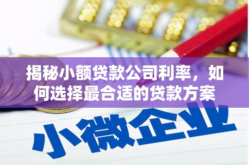 定远揭秘小额贷款公司利率，如何选择最合适的贷款方案