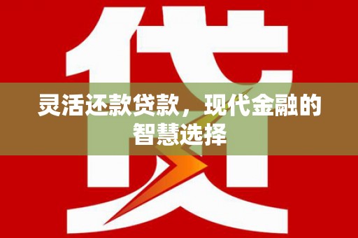 定远灵活还款贷款，现代金融的智慧选择