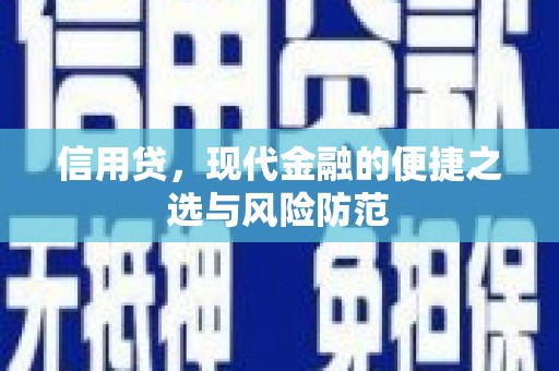 定远信用贷，现代金融的便捷之选与风险防范