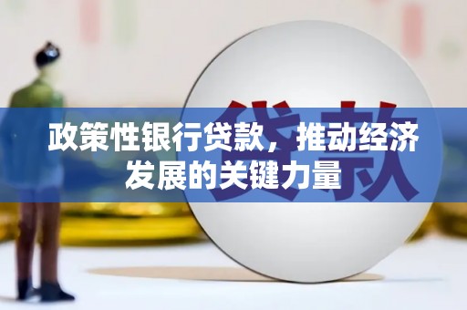 定远政策性银行贷款，推动经济发展的关键力量