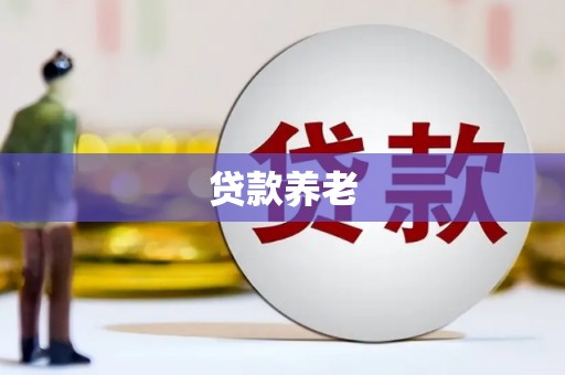 定远贷款养老