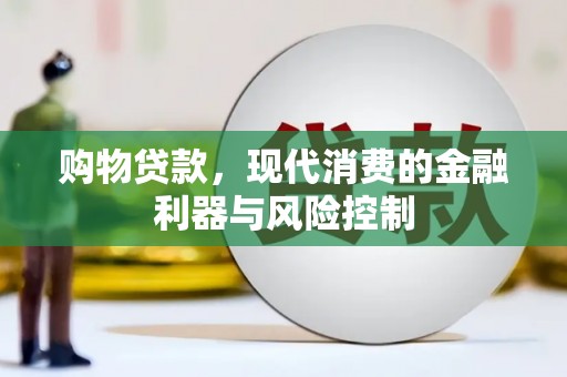 定远购物贷款，现代消费的金融利器与风险控制