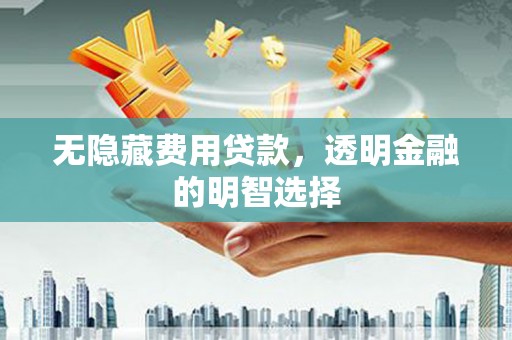定远无隐藏费用贷款，透明金融的明智选择