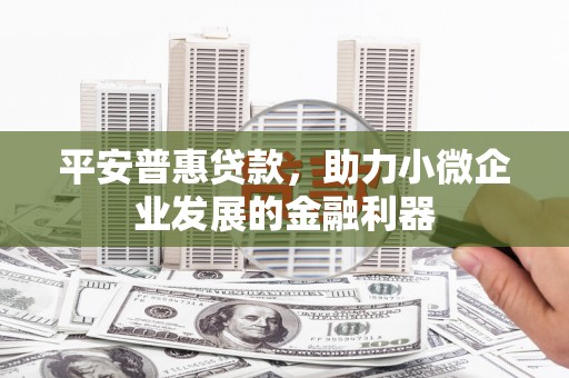 定远平安普惠贷款，助力小微企业发展的金融利器
