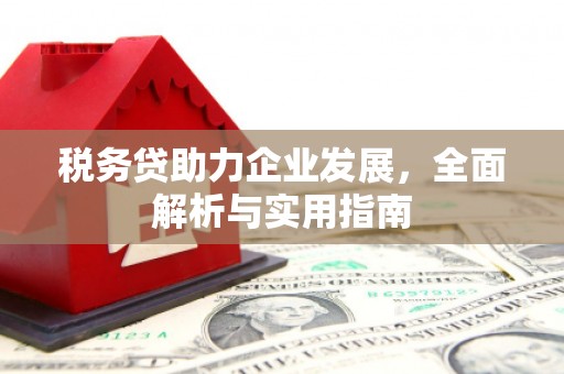 定远税务贷助力企业发展，全面解析与实用指南