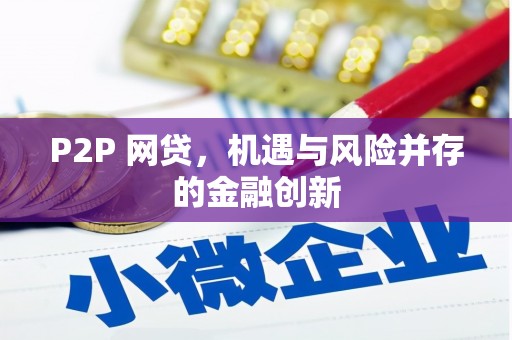 定远P2P 网贷，机遇与风险并存的金融创新