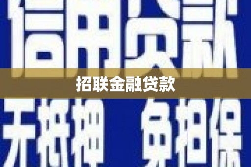 定远招联金融贷款