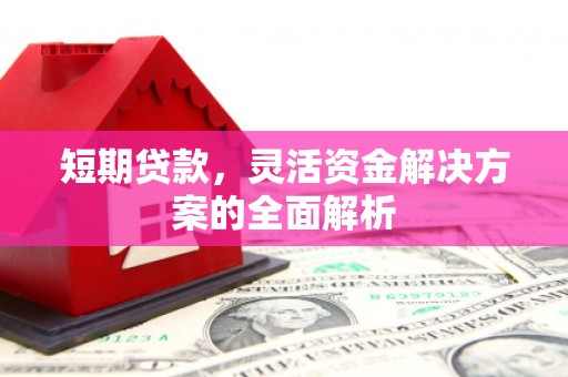 定远短期贷款，灵活资金解决方案的全面解析