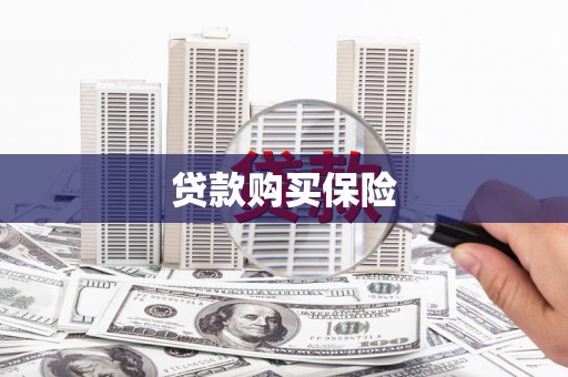 定远贷款购买保险
