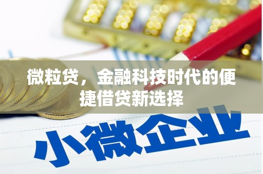 定远微粒贷，金融科技时代的便捷借贷新选择