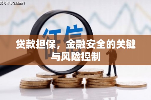 定远贷款担保，金融安全的关键与风险控制
